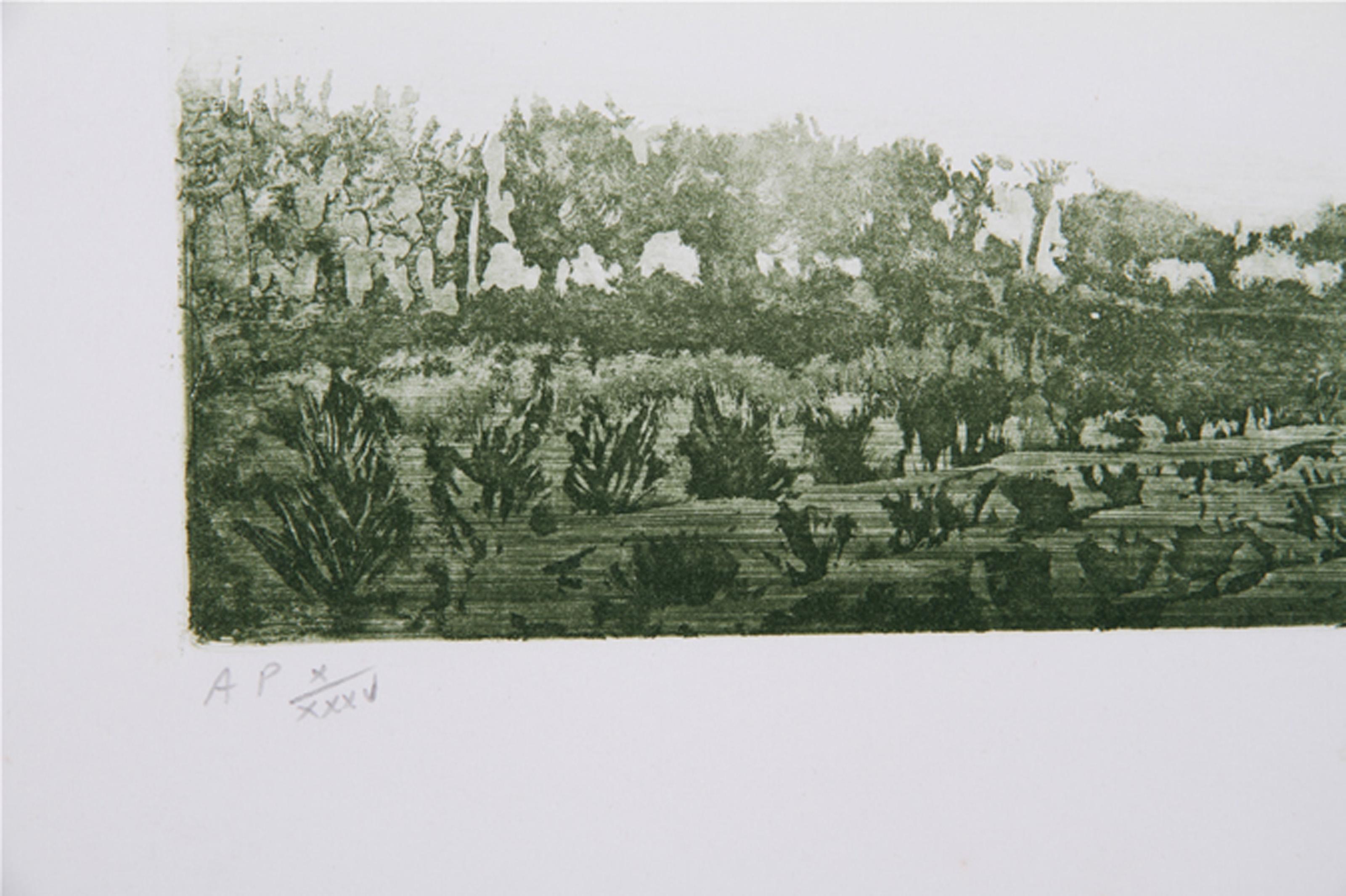 Pineapple, Surrealist Aquatint Etching by Hank Laventhol For Sale 2