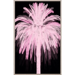 Pink and Black Palm, acrylic box, framed