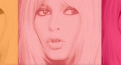 Rosa Bardot Triptychon - Übergröße