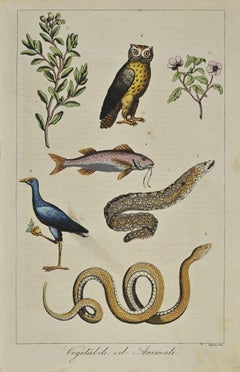 Pflanzgefäße und Tiere – Lithographie – 1862