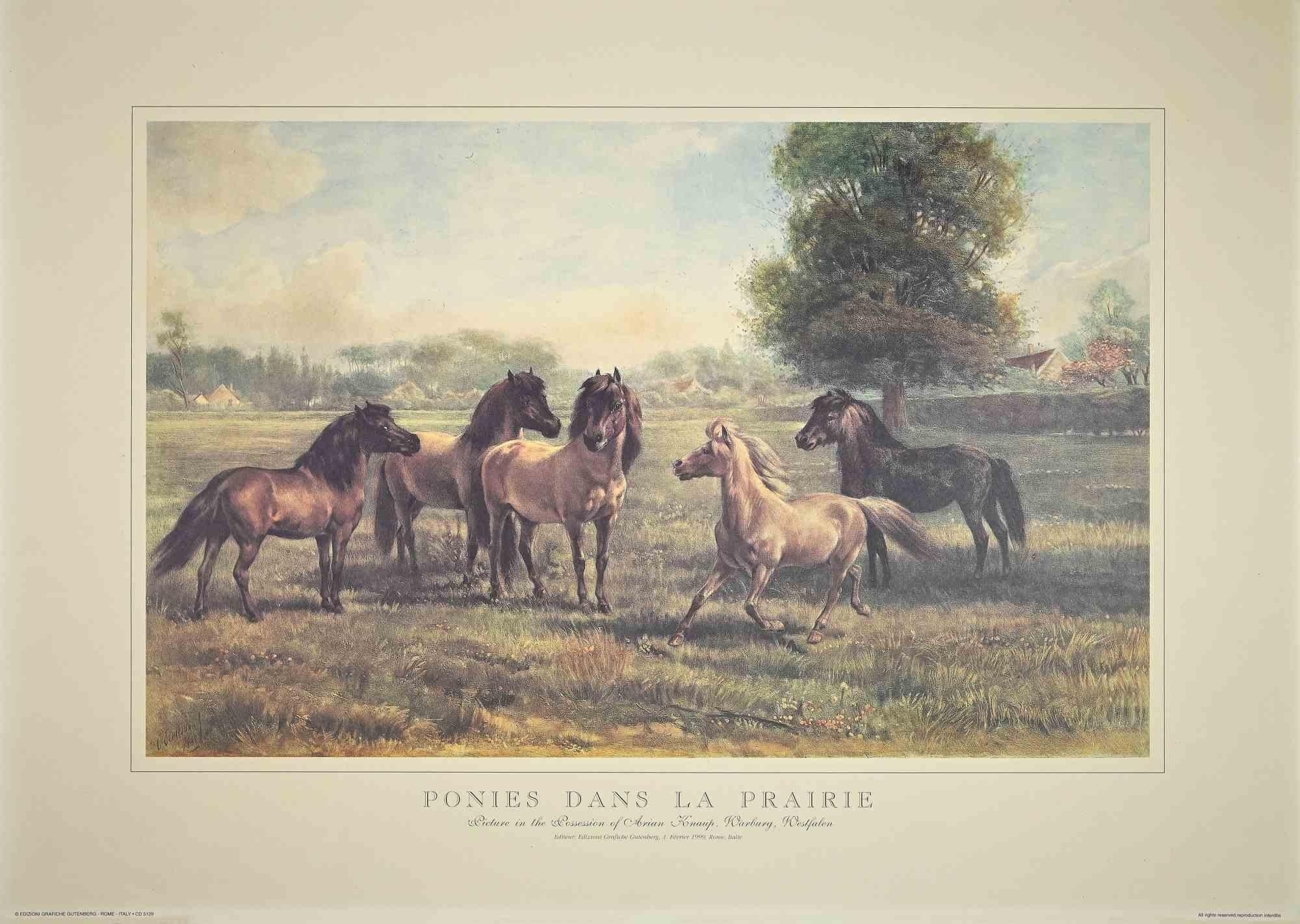 Pointes dans la Prairie -  Lithographie - 20e siècle