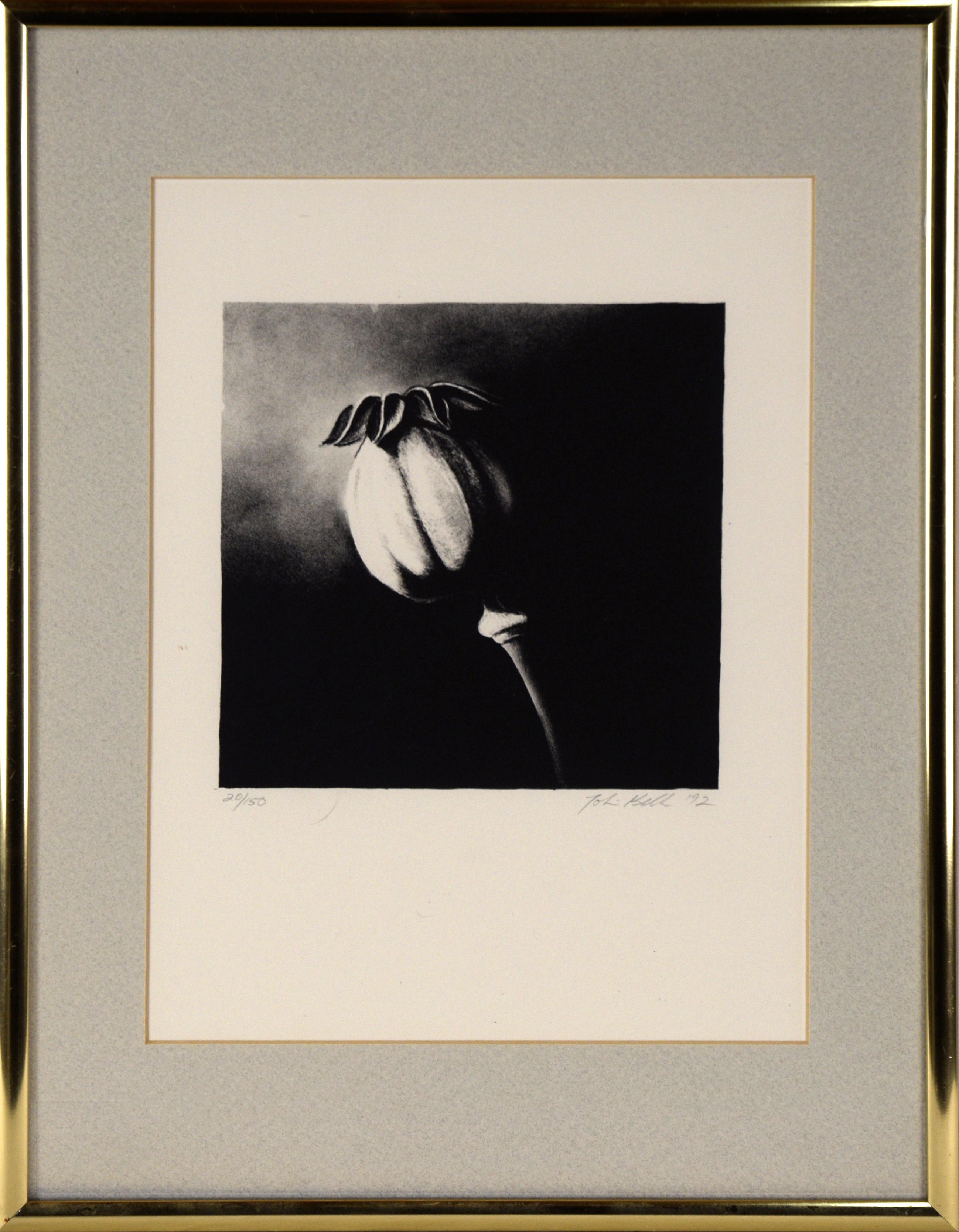 Poppy Pod - Incisione a inchiostro su carta