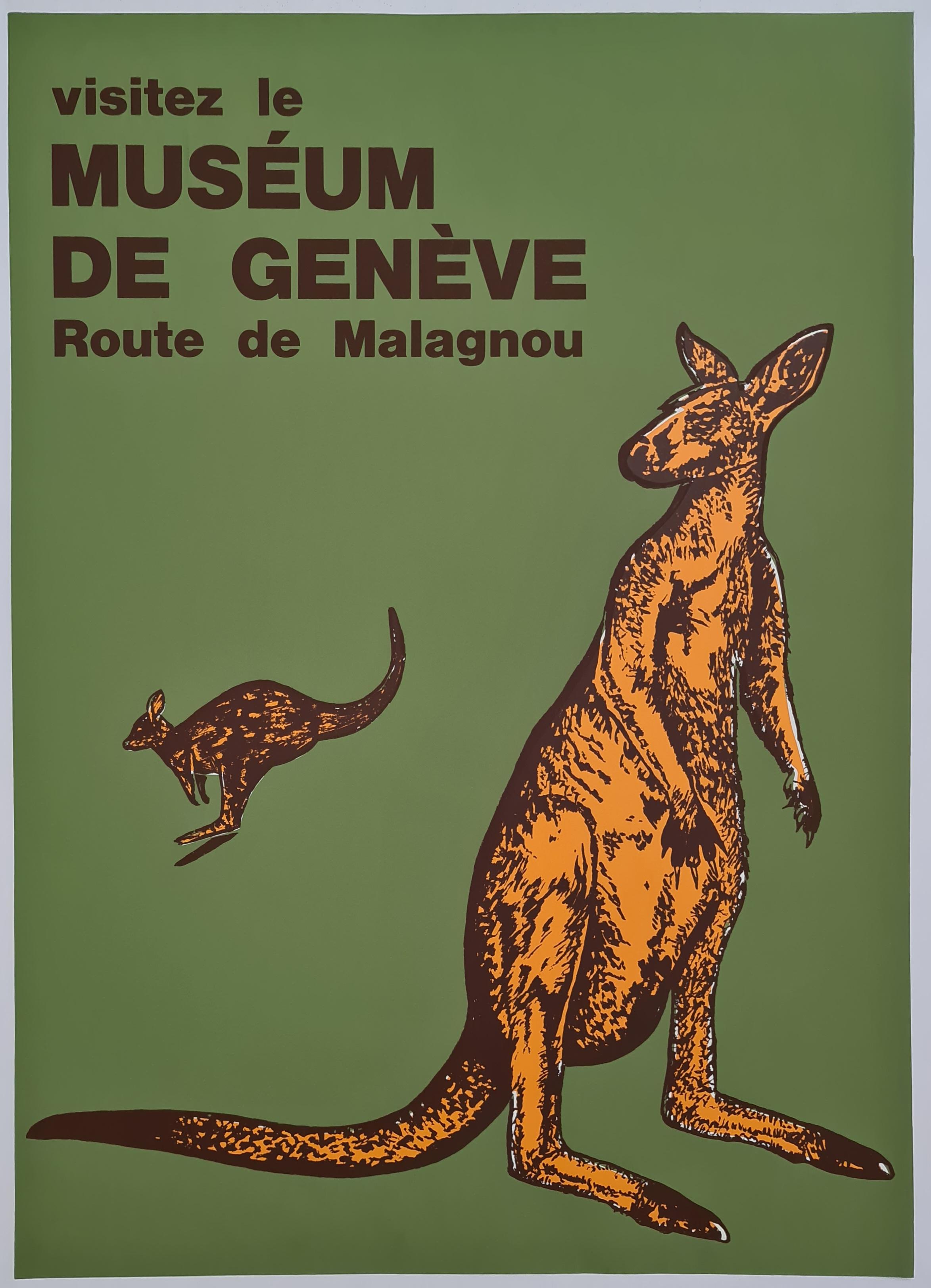 Poster made around 1950 and which invites us to visit the museum of Geneva.  It  For Sale 2