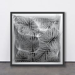 Quantum Memories : Noise C, 2020, par Refik Anadol, Digital Art, Contemporary