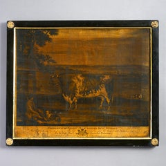 Regency Period Engraving of a Prize Bull