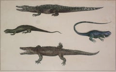 Antique Reptiles