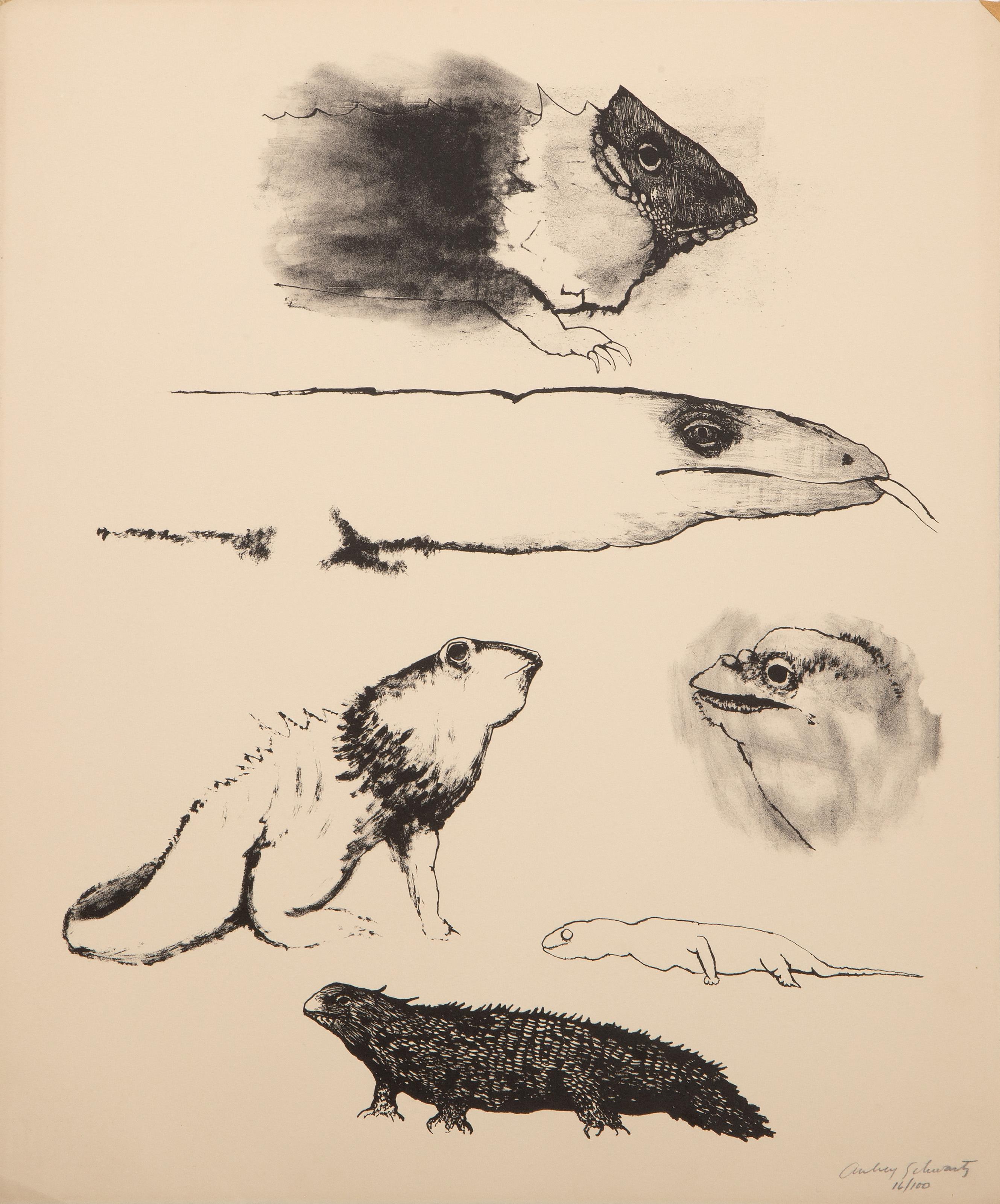  Aubrey Schwartz, estadounidense (1928 - 2019) -  Reptiles, Año: hacia 1965, Medio: Litografía sobre Arches, firmada y numerada a lápiz, Edición: 16/100, Tamaño: 45,72 x 38,1 cm (18 x 15 pulg.) 
