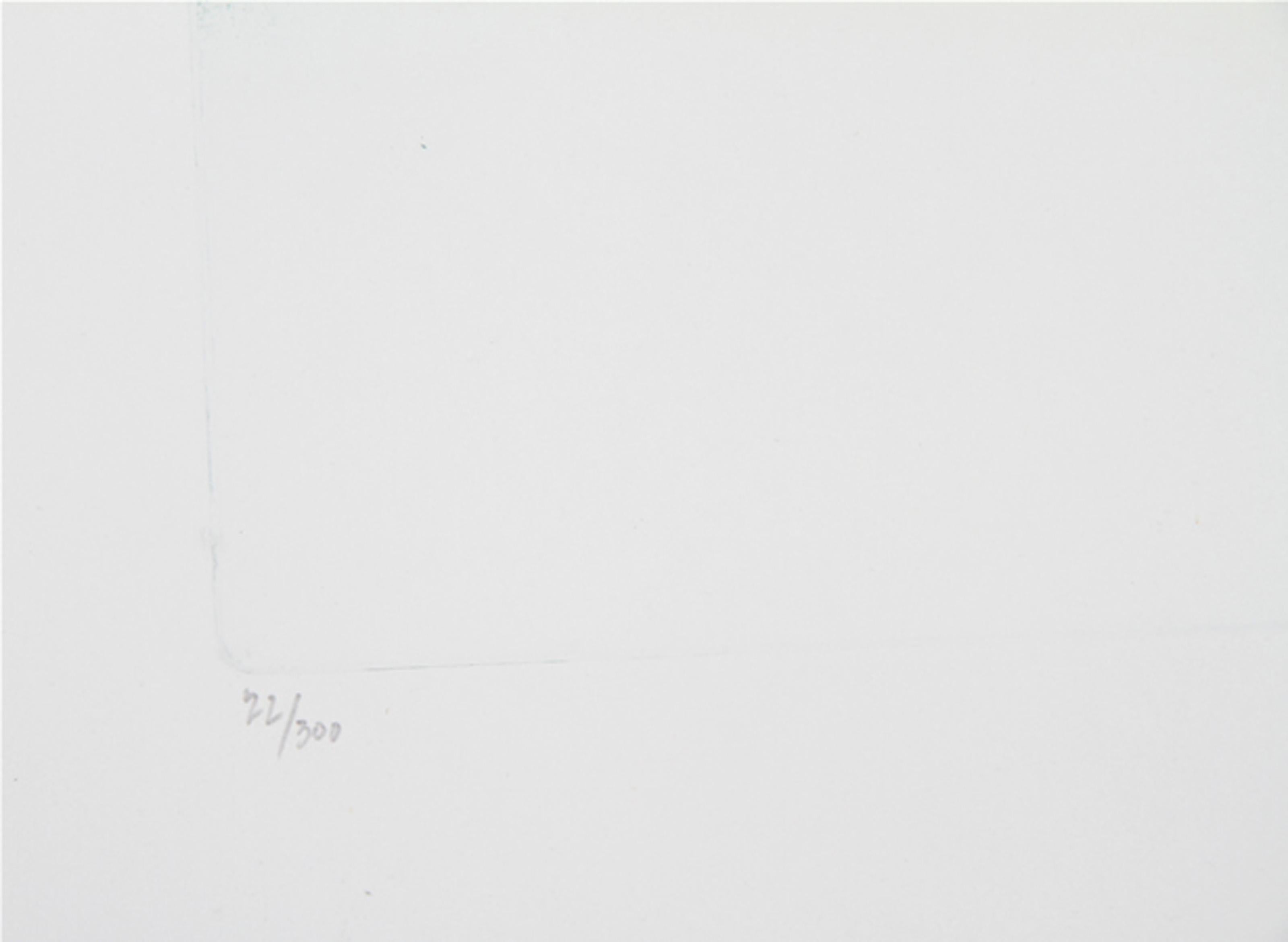 Ripe Sky, Surrealist Aquatint Etching by Hank Laventhol For Sale 2