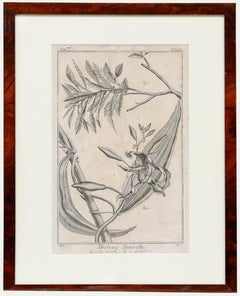 Robert Béenard (1734-1794) - 18th Century Engraving, Le Cirier & Le Vanille