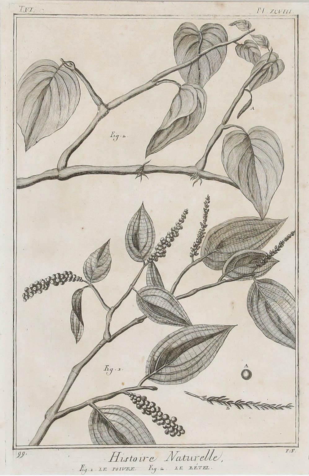 Robert Béenard (1734-1794) - 18th Century Engraving, Le Pivre & Le Betel - Print by Unknown