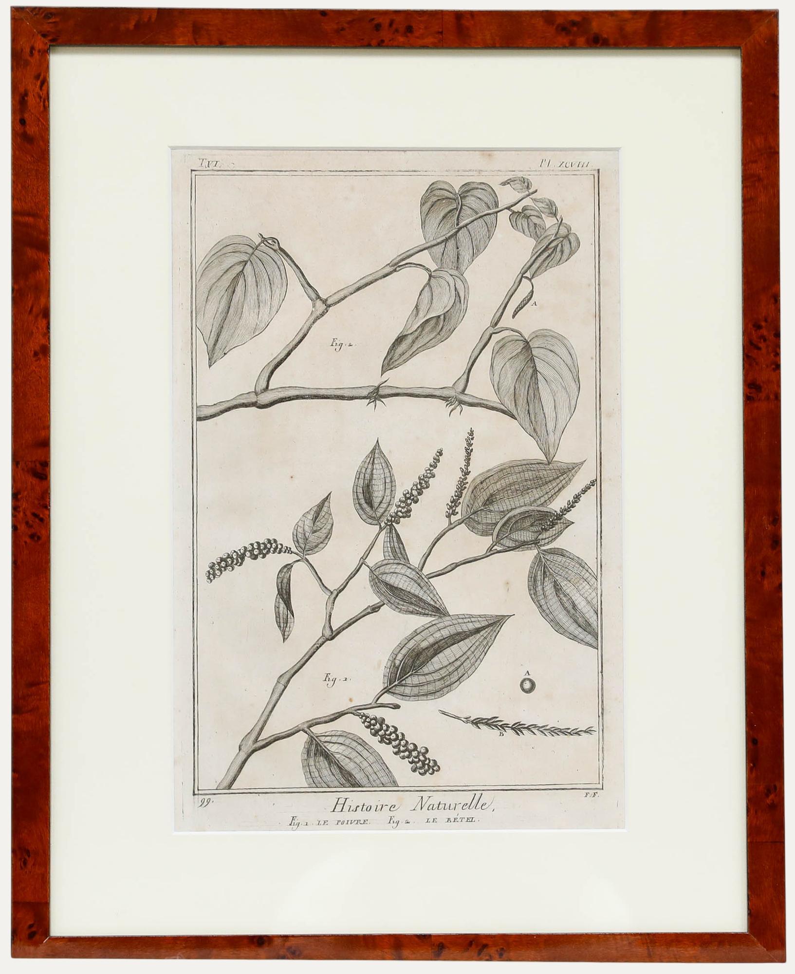 Unknown Still-Life Print - Robert Béenard (1734-1794) - 18th Century Engraving, Le Pivre & Le Betel