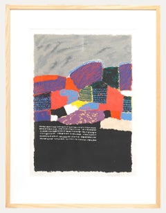 Saduo Kahili - Siglo XX Serigrafía, Campos de patchwork