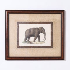 Set of Four Animal Stone Lithographs