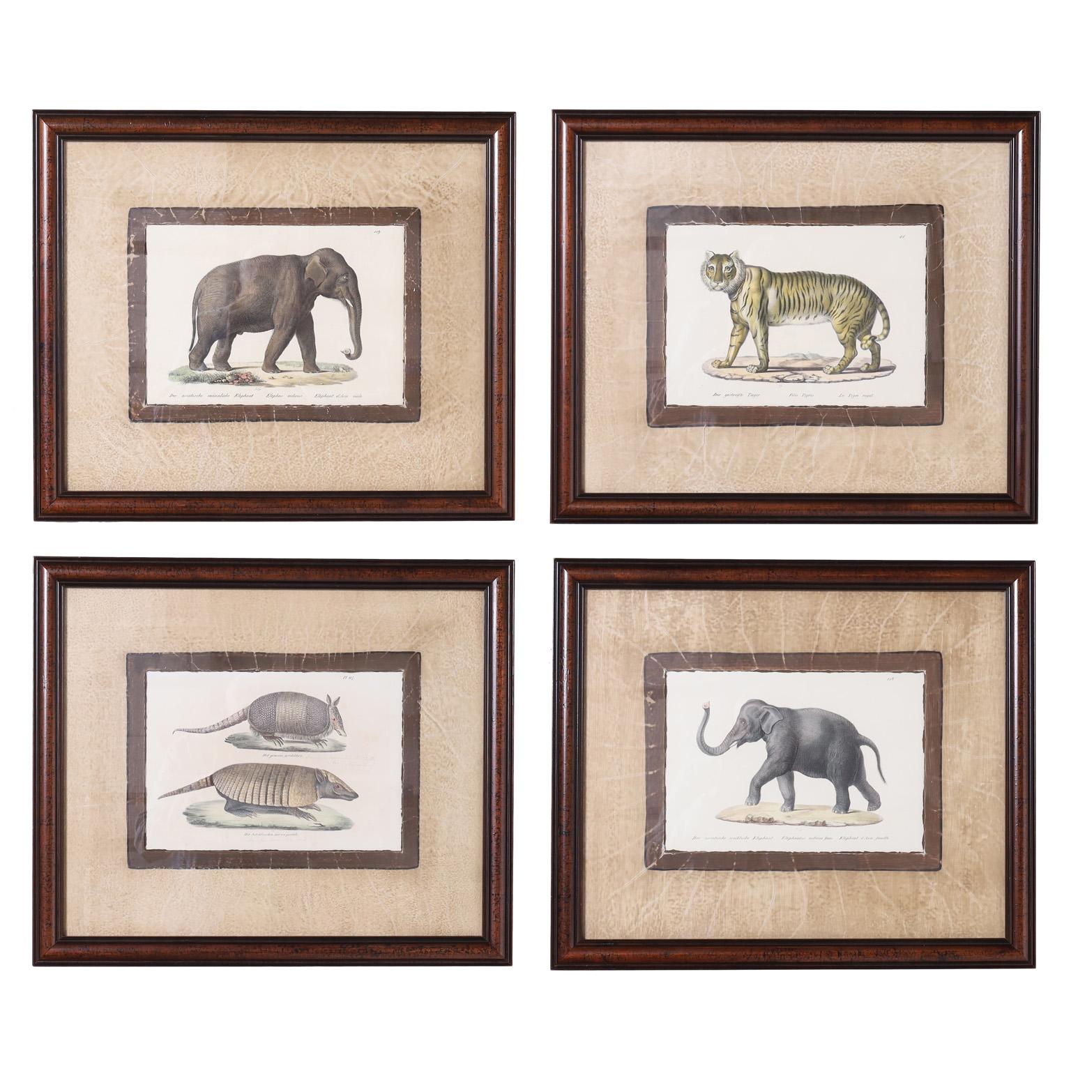 Set of Four Animal Stone Lithographs - Print by Unknown