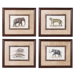 Set von vier Lithografien mit Tiersteinen