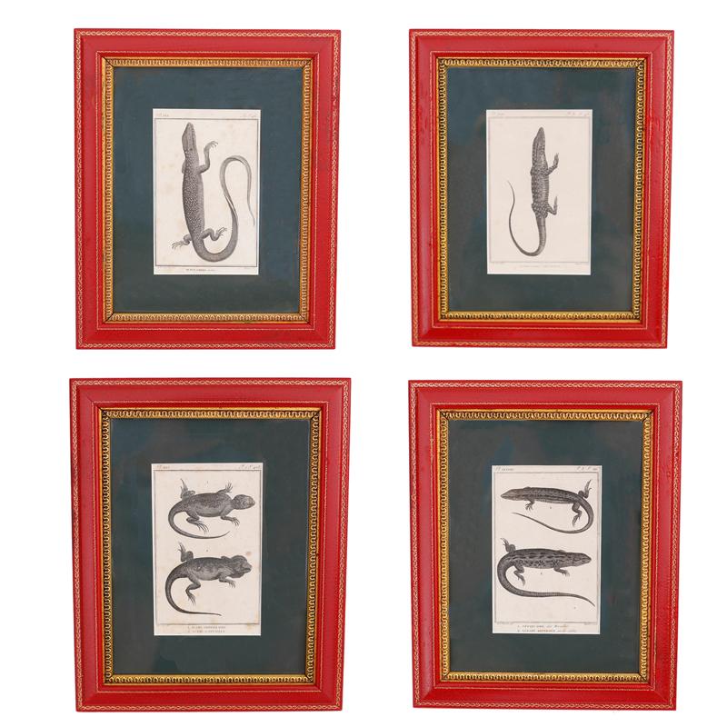 Unknown Animal Print - Set of Four French Lizard Engravings