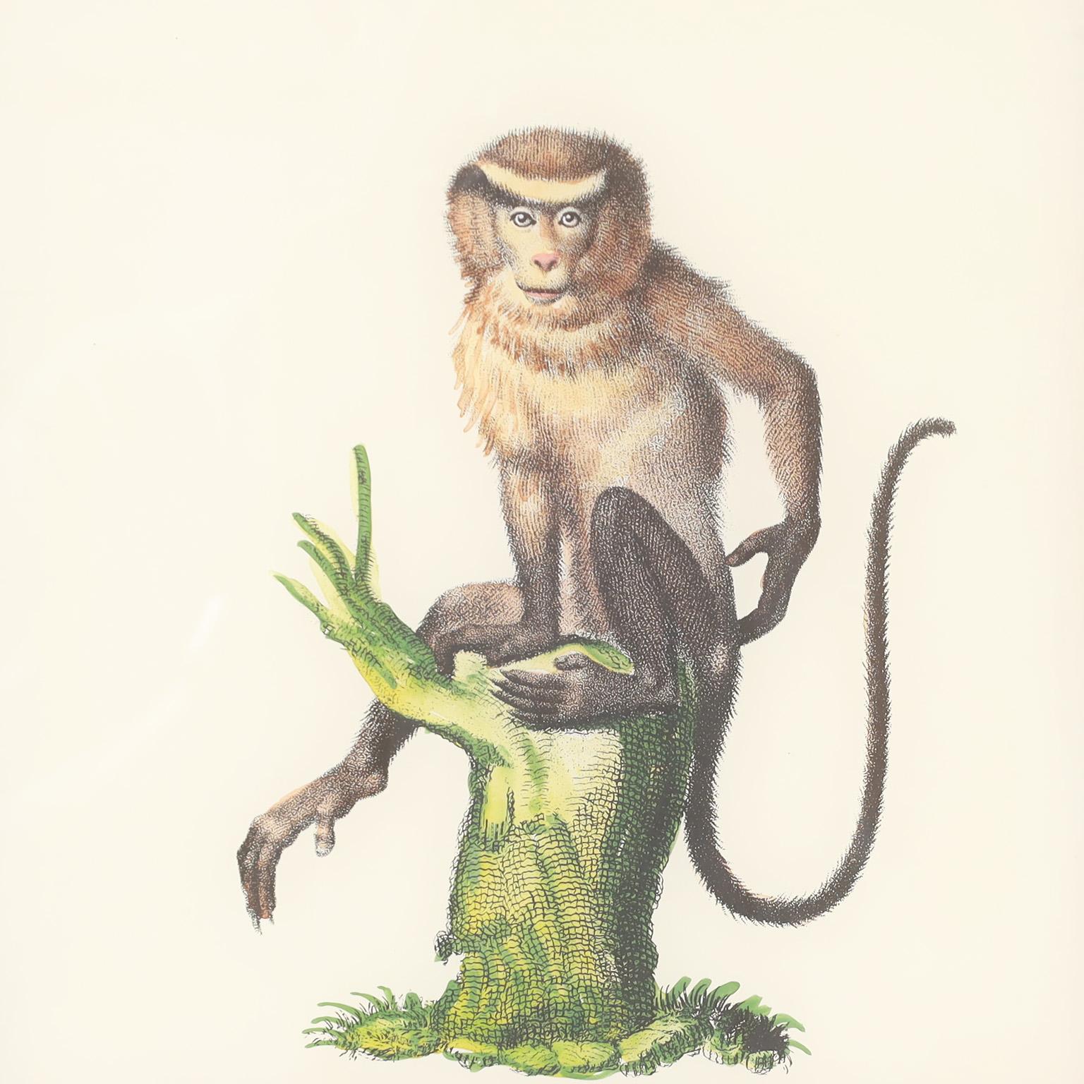 Set of Four Hand Colored Monkey Prints For Sale 1