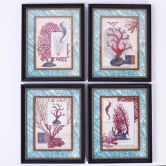 Set of Four Red Coral Prints in Custom Frames