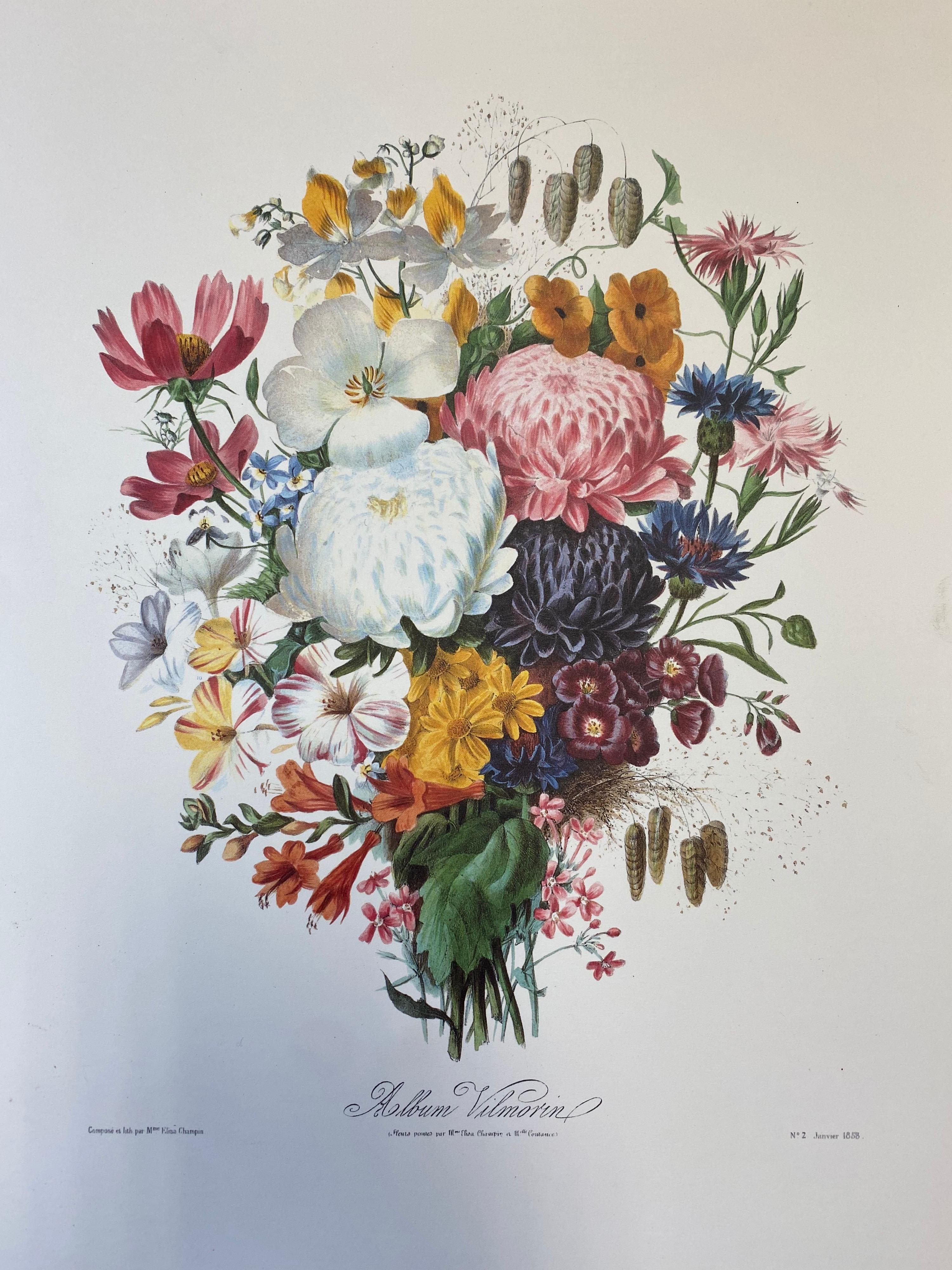 Ensemble de neuf tirages botaniques floraux colorés, projet idéal de mur de galerie en vente 1