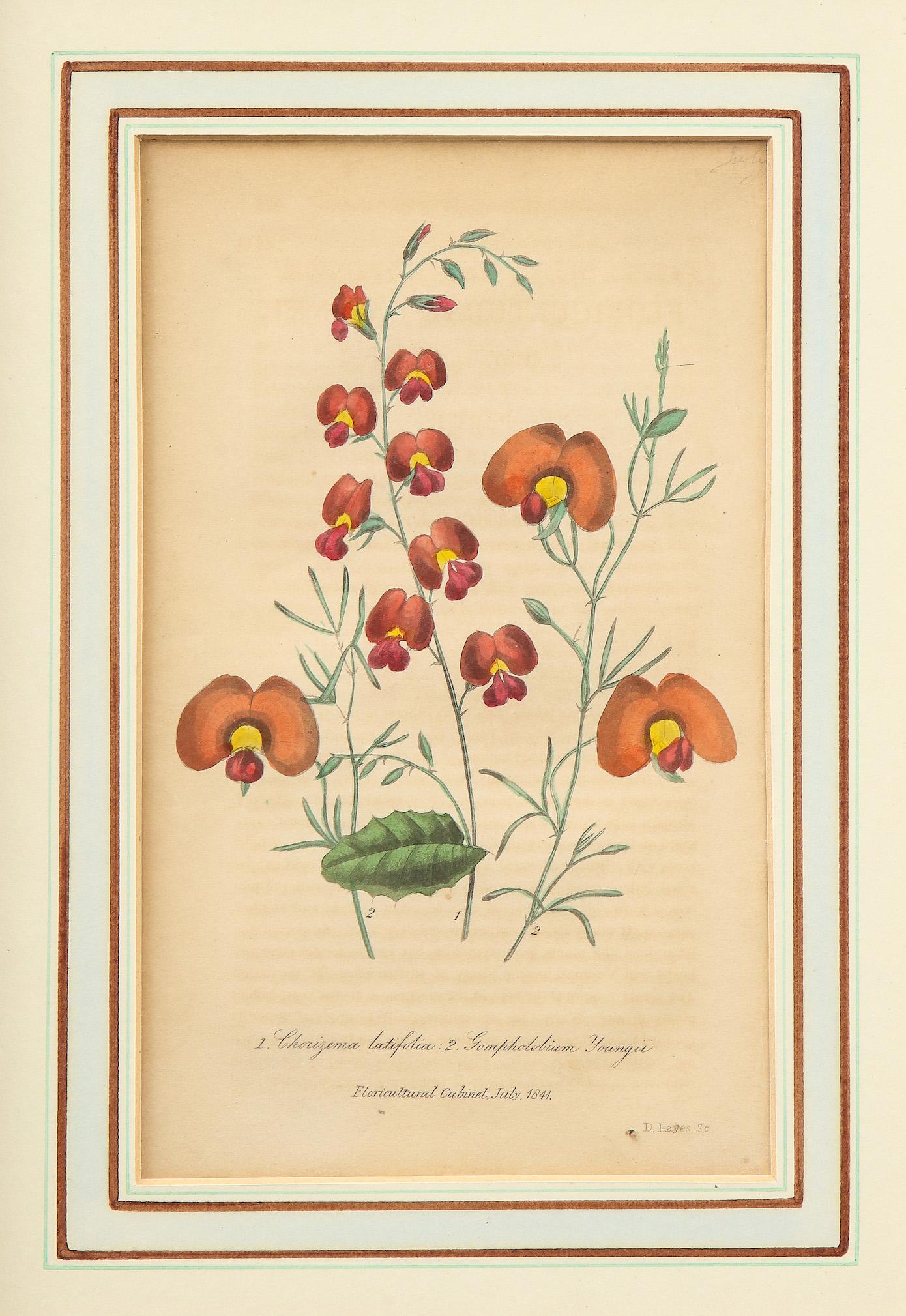 Founded by William Curtis in 1787, Curtis's Botanical Magazine is the longest continuously published botanical magazine still in print. Curtis was an apothecary and botanist who held a position at Kew Gardens. The publication familiarized its