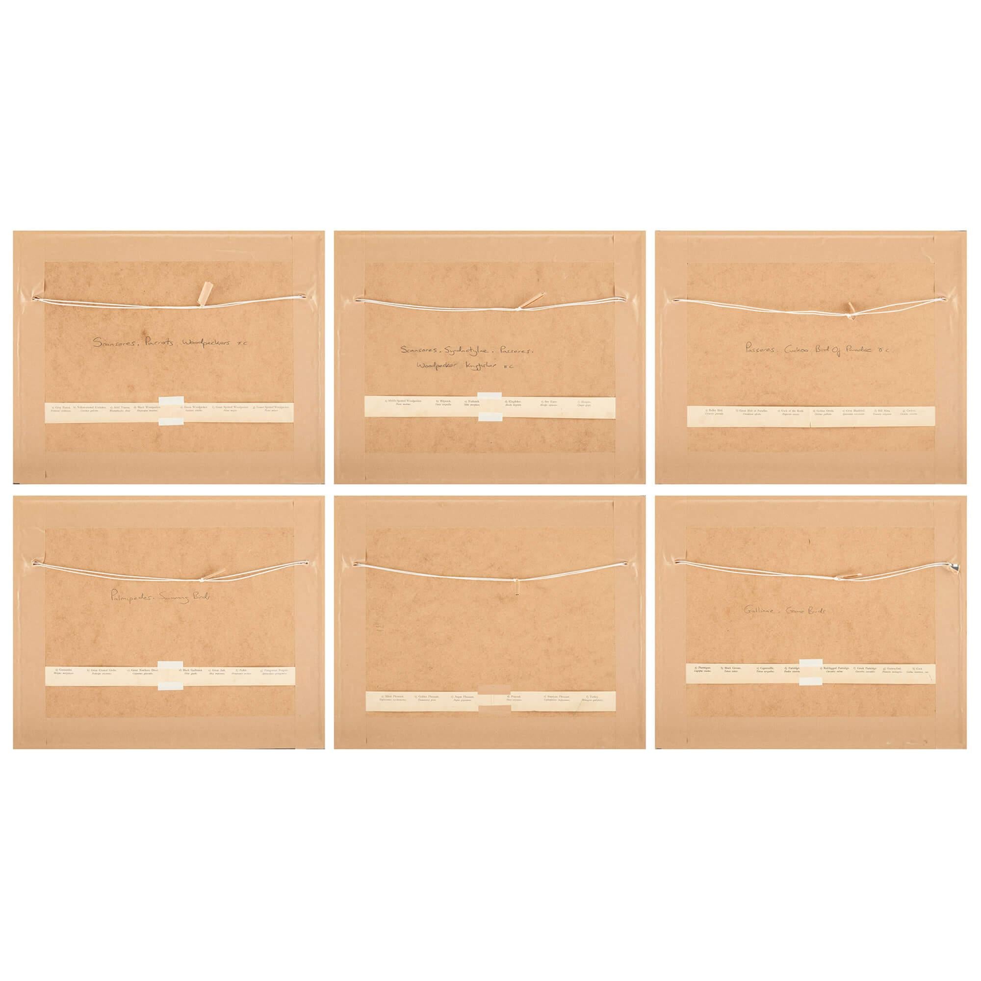 Set of Six Framed Bird Prints Continental 20th Century Natural History en venta 6