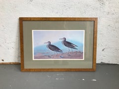 Vintage shore birds