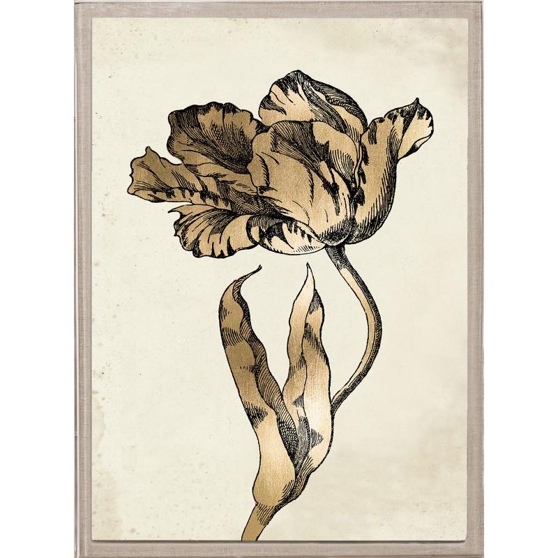 Unknown Print - Sieger Tulips 1, Gold Leaf, Framed