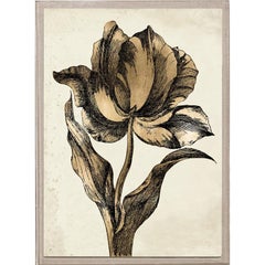 Sieger Tulips 2, Gold Leaf, Framed