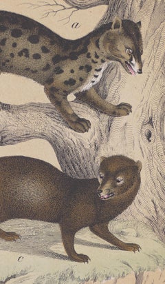 Some Otters - Original Lithograph - Late 19th Century