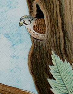 19th century color lithograph scientific bird animal print hawk tree leaves egg