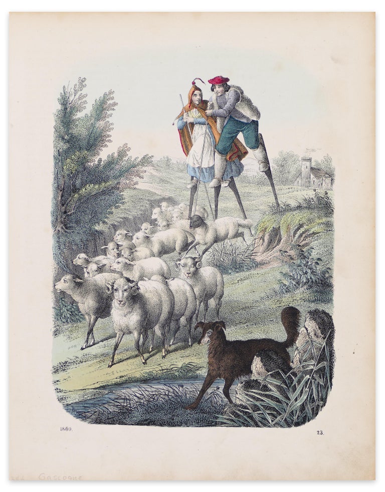 Lithograph Animal Prints 952 For Sale At 1stdibs
