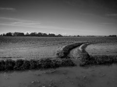 Summer Ditch, Archival Pigment Print by Joseph Rossano, 2019