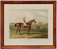 Sutherland dopo Herring - Acquatinta, Memnon, vincitore del Great St. Leger