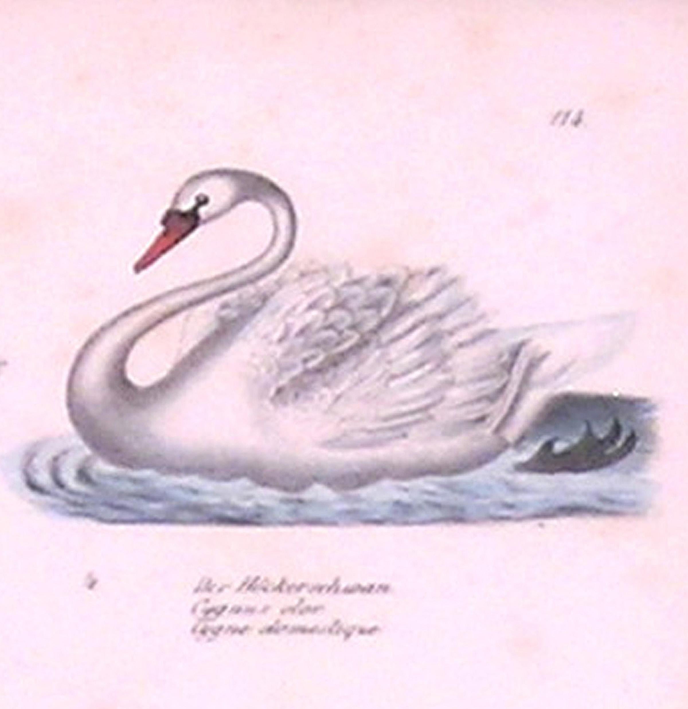 É cygnes  e Spécifications :  Assiette en métal 114 - Gris Animal Print par Unknown