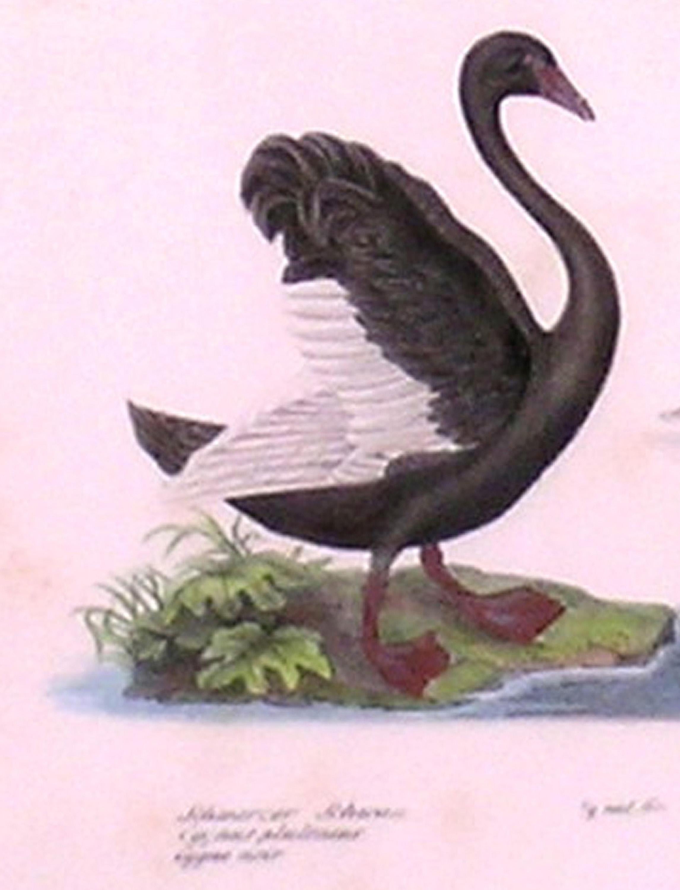 É cygnes  e Spécifications :  Assiette en métal 114 en vente 1