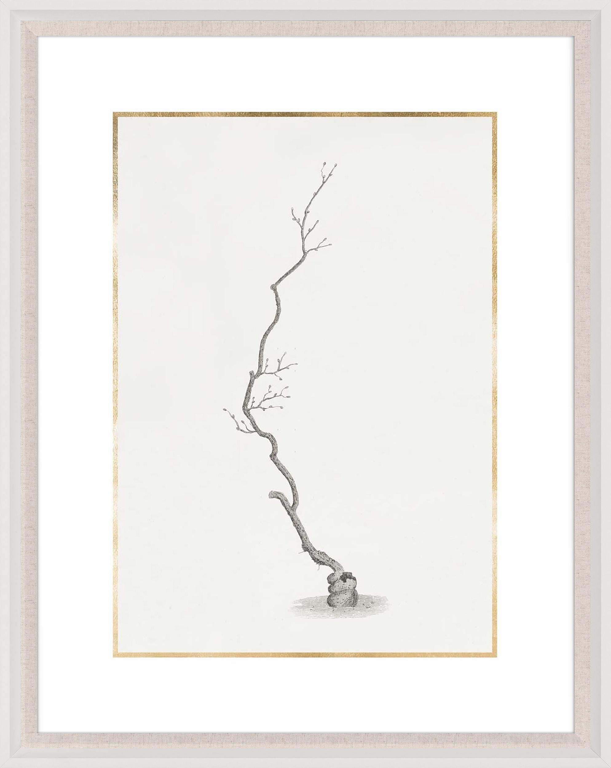 Unknown Print - Taccani Branches, No. 1, gold leaf, silkscreen, framed