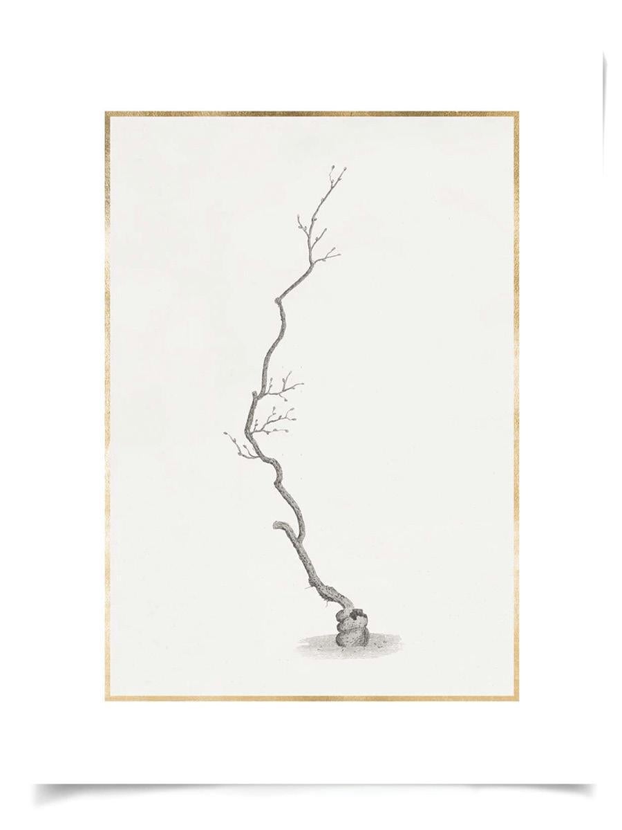 Unknown Print - Taccani Branches, No. 1, gold leaf, silkscreen, unframed