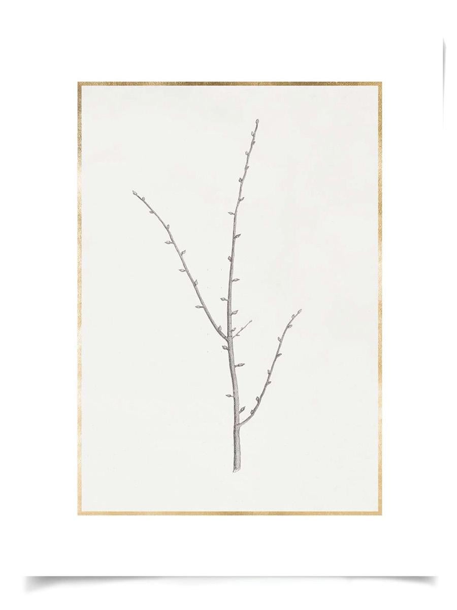 Unknown Print - Taccani Branches, No. 2, gold leaf, silkscreen, unframed