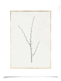 Taccani Branches, No. 2, gold leaf, silkscreen, unframed