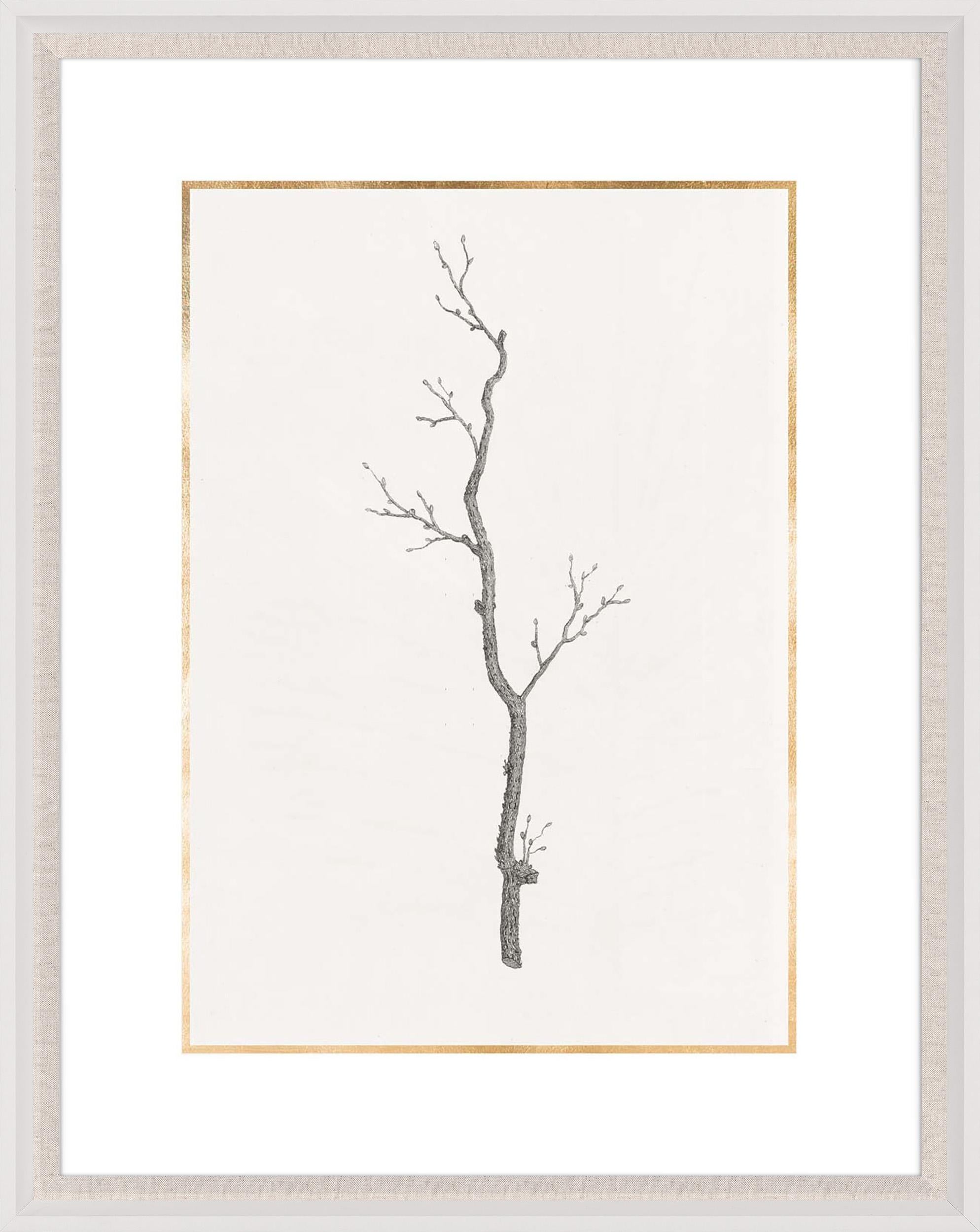 Unknown Print - Taccani Branches, No. 3, gold leaf, silkscreen, framed