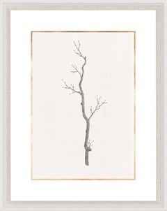 Taccani Branches, No. 3, gold leaf, silkscreen, framed