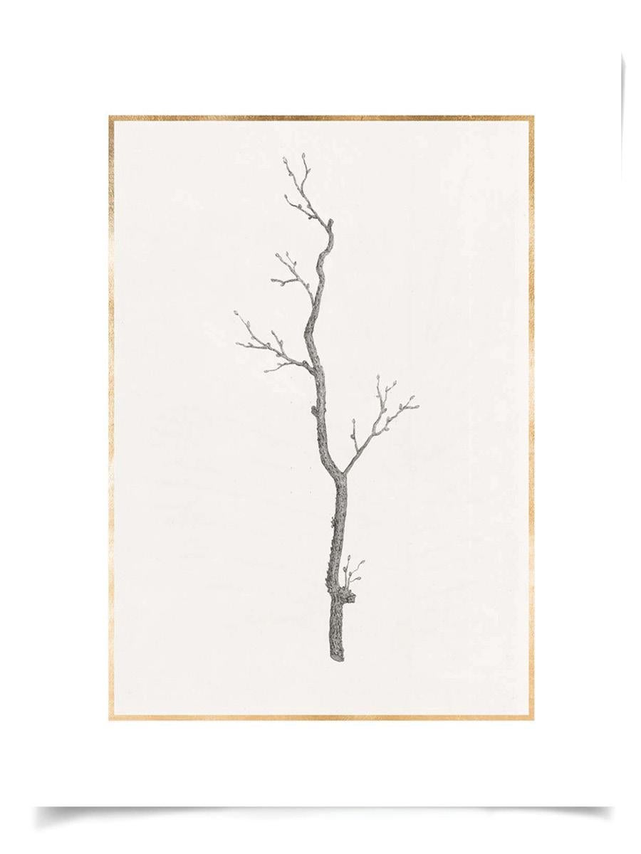 Unknown Print - Taccani Branches, No. 3, gold leaf, silkscreen, unframed