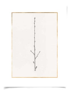 Taccani Branches, No. 4, gold leaf, silkscreen, unframed