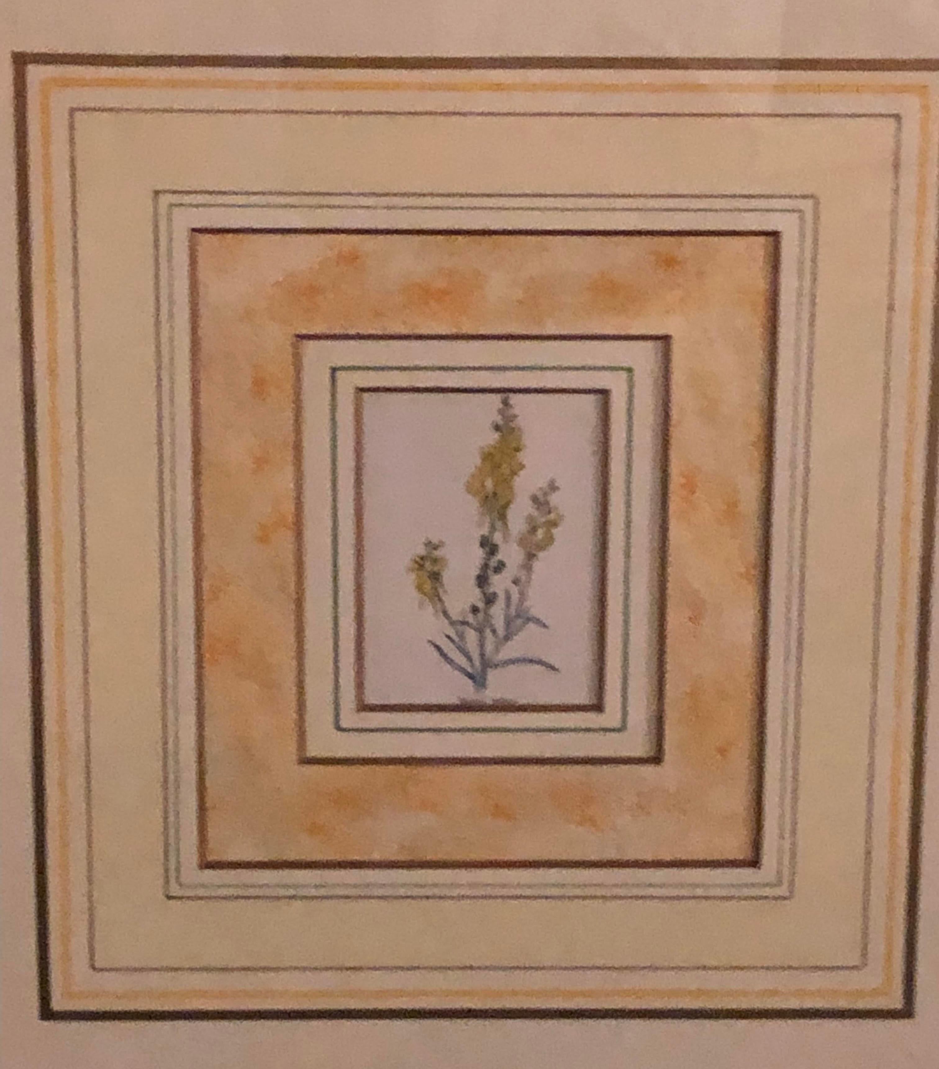 Ten Copperplate Engravings in Gilt Frames by Benjamin Maund, Judy Cormier Framed For Sale 5