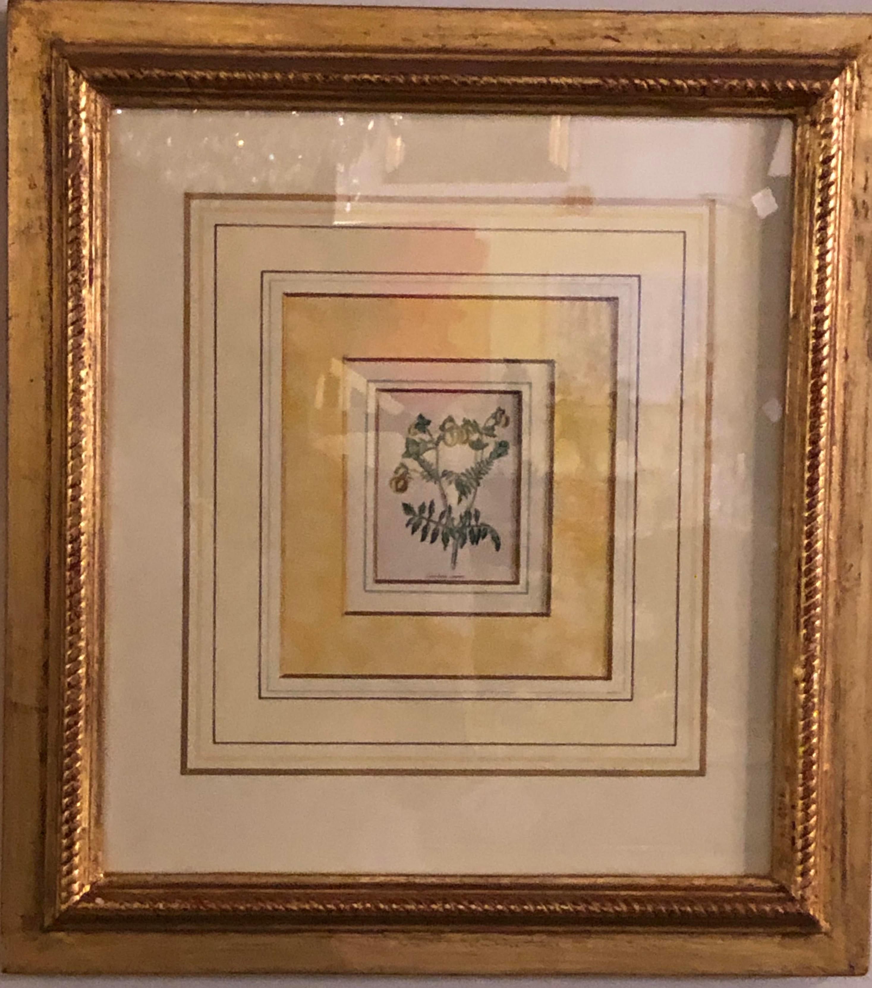 Ten Copperplate Engravings in Gilt Frames by Benjamin Maund, Judy Cormier Framed For Sale 6