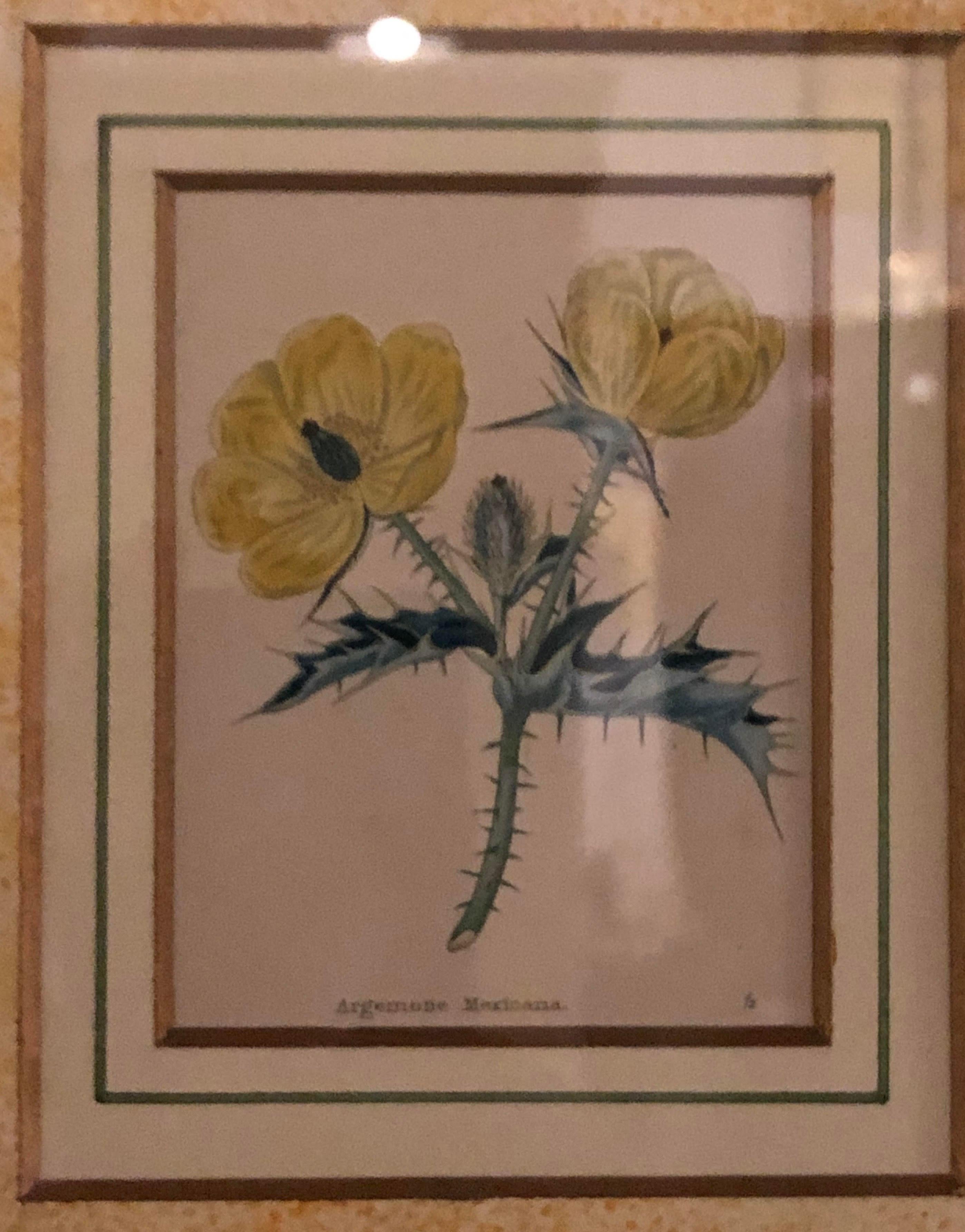 Ten Copperplate Engravings in Gilt Frames by Benjamin Maund, Judy Cormier Framed For Sale 8