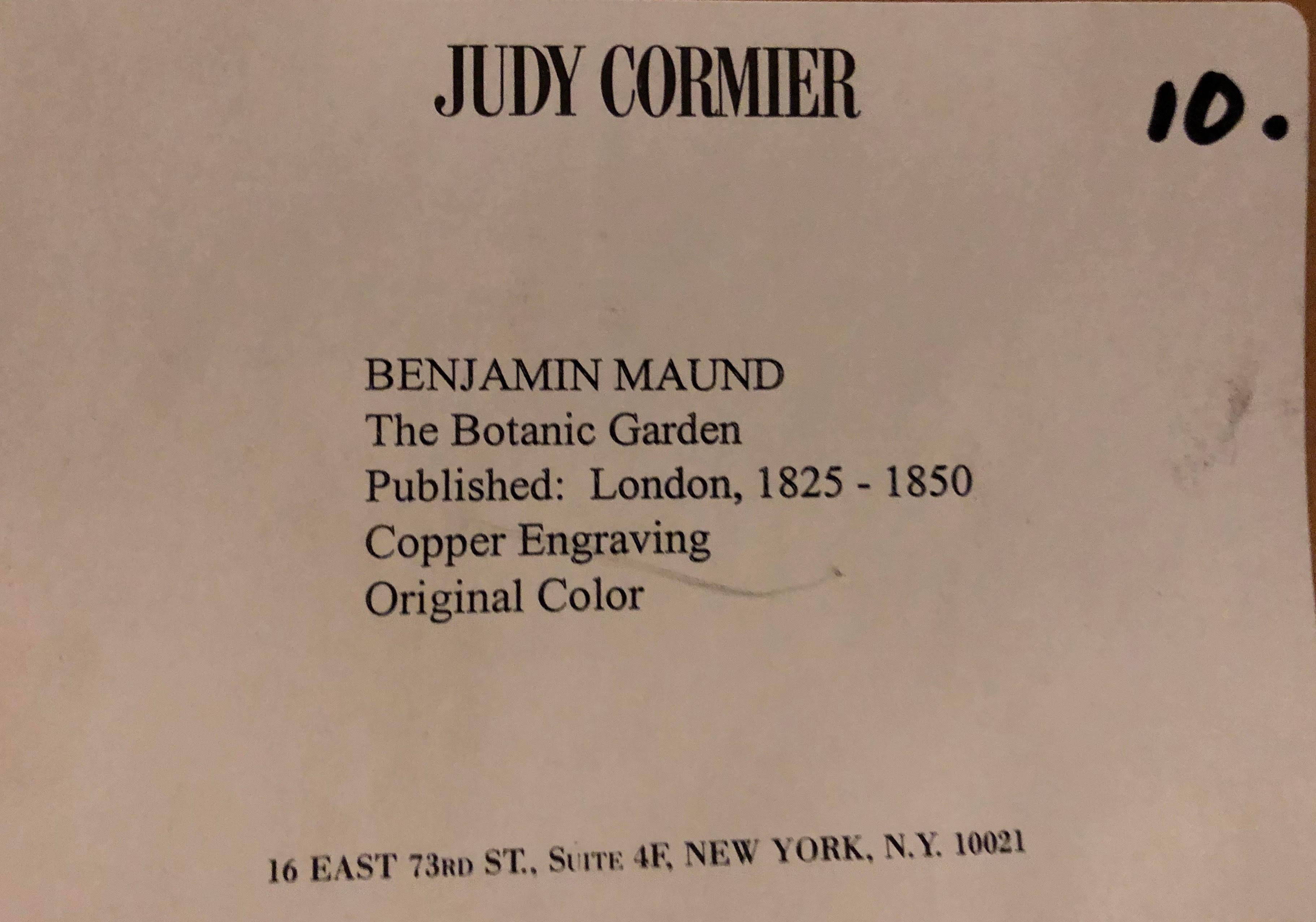 Ten Copperplate Engravings in Gilt Frames by Benjamin Maund, Judy Cormier Framed For Sale 10