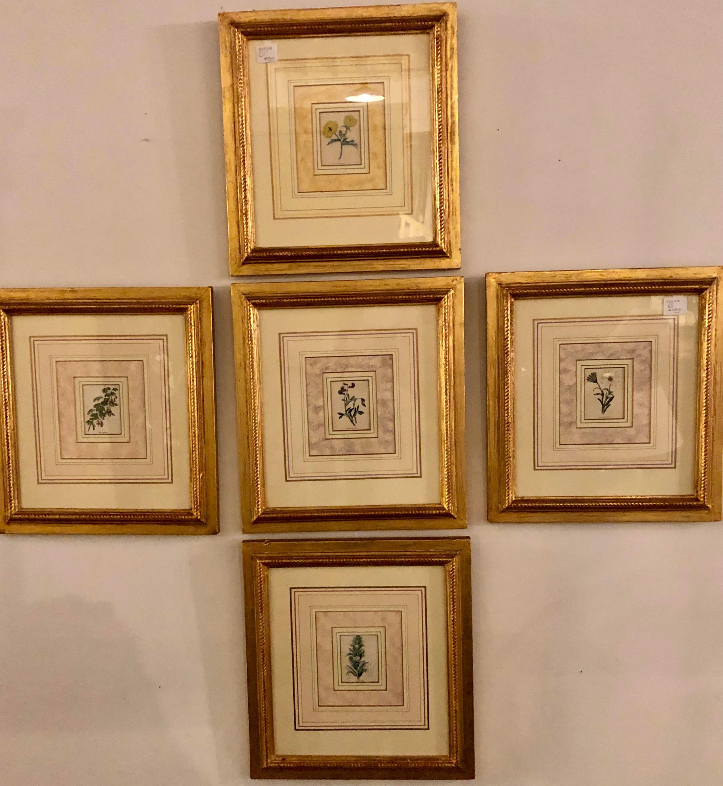 Ten Copperplate Engravings in Gilt Frames by Benjamin Maund, Judy Cormier Framed - Renaissance Print by Unknown