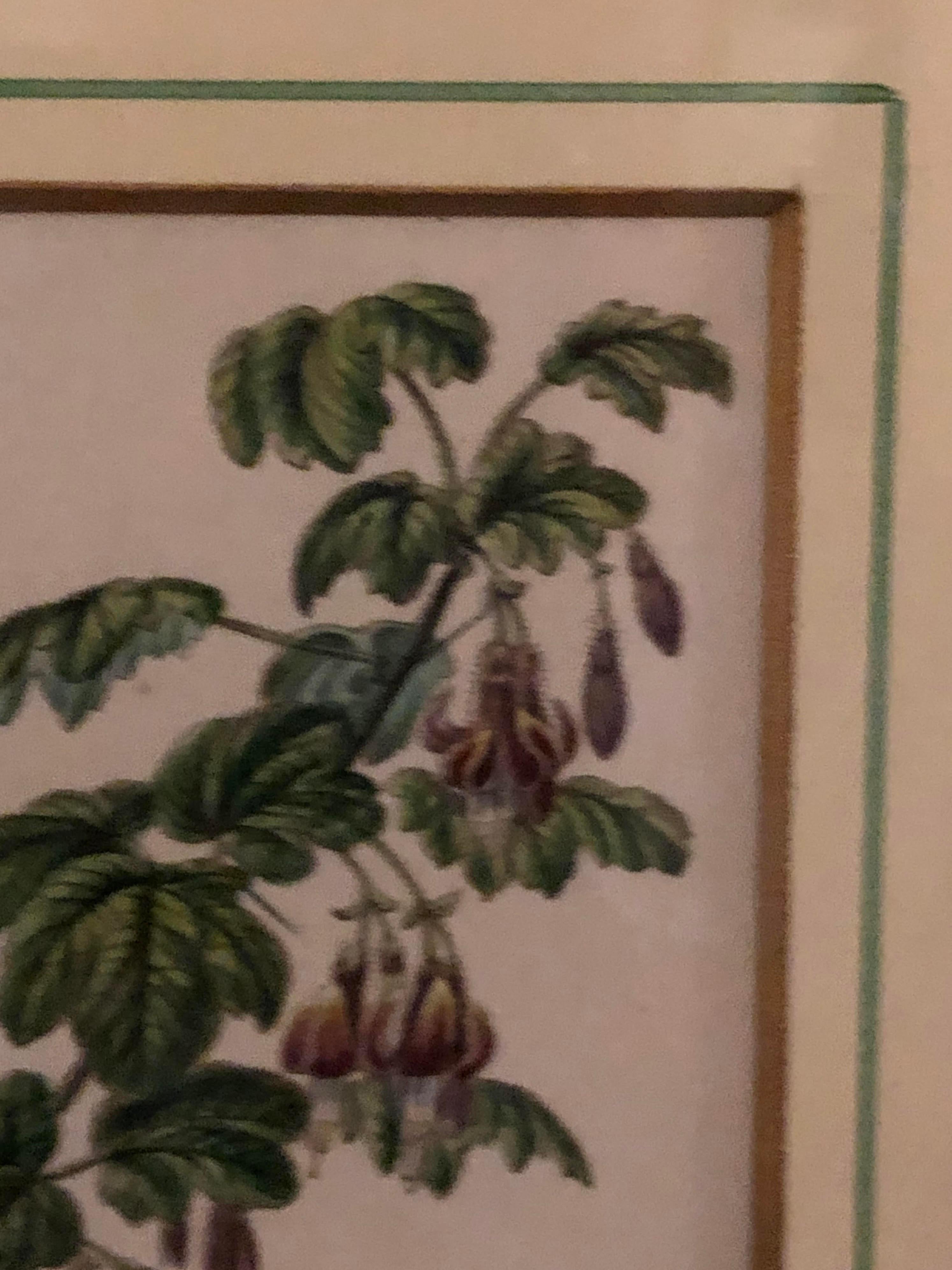 Ten Copperplate Engravings in Gilt Frames by Benjamin Maund, Judy Cormier Framed - Brown Still-Life Print by Unknown