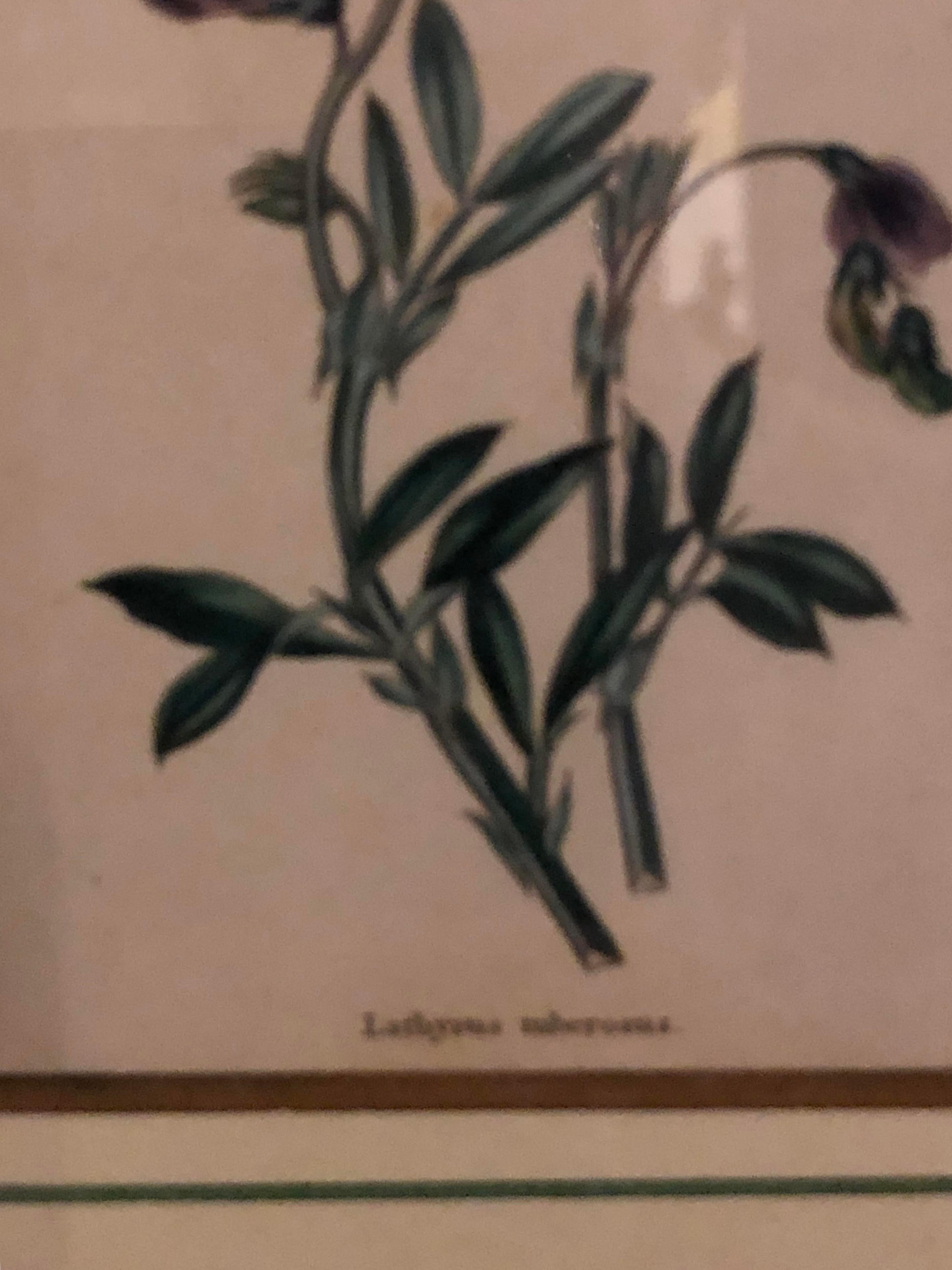 One of several spectacular groupings of engravings fresh from a Bronxville Mansion. Ten Copperplate engravings by Benjamin Maund (British) in the finest gilt frames wonderfully matted by Judy Cormier. This set showing ten pieces depicting the